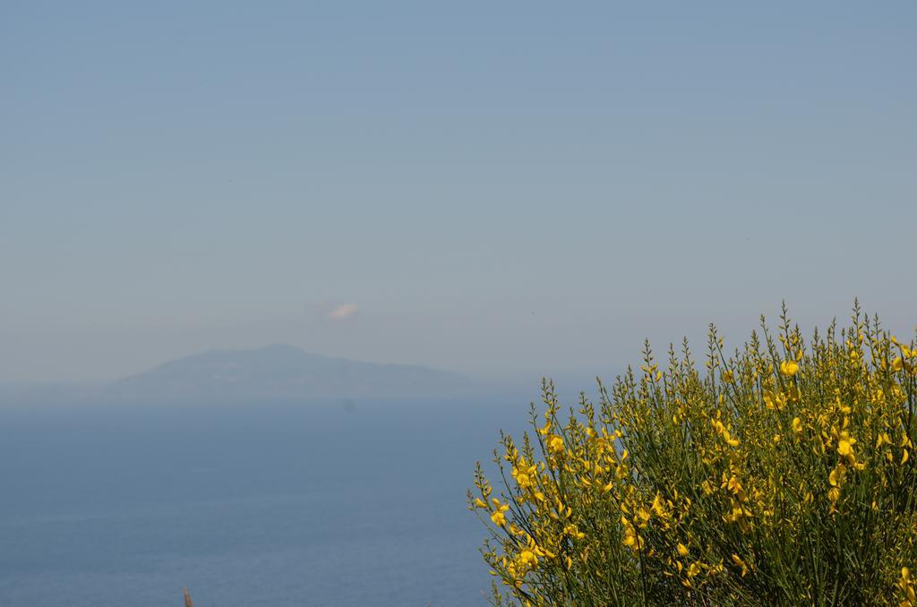 Le Ginestre Di Capri Bb & Holiday House อนากาปรี ภายนอก รูปภาพ