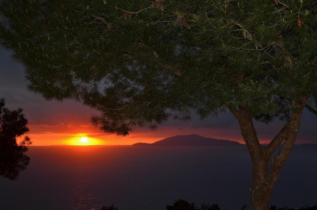 Le Ginestre Di Capri Bb & Holiday House อนากาปรี ห้อง รูปภาพ